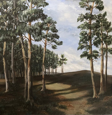 Sequoia grove